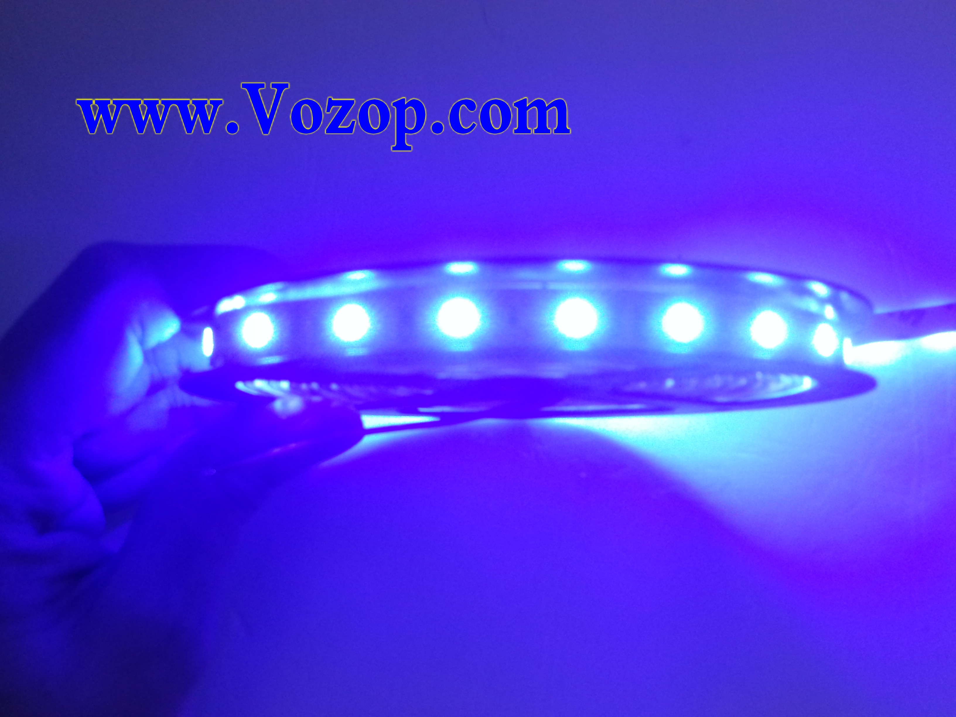 5050_300LEDs_blue_color_12V_LED_Lights_Non_Waterproof_tape_lights
