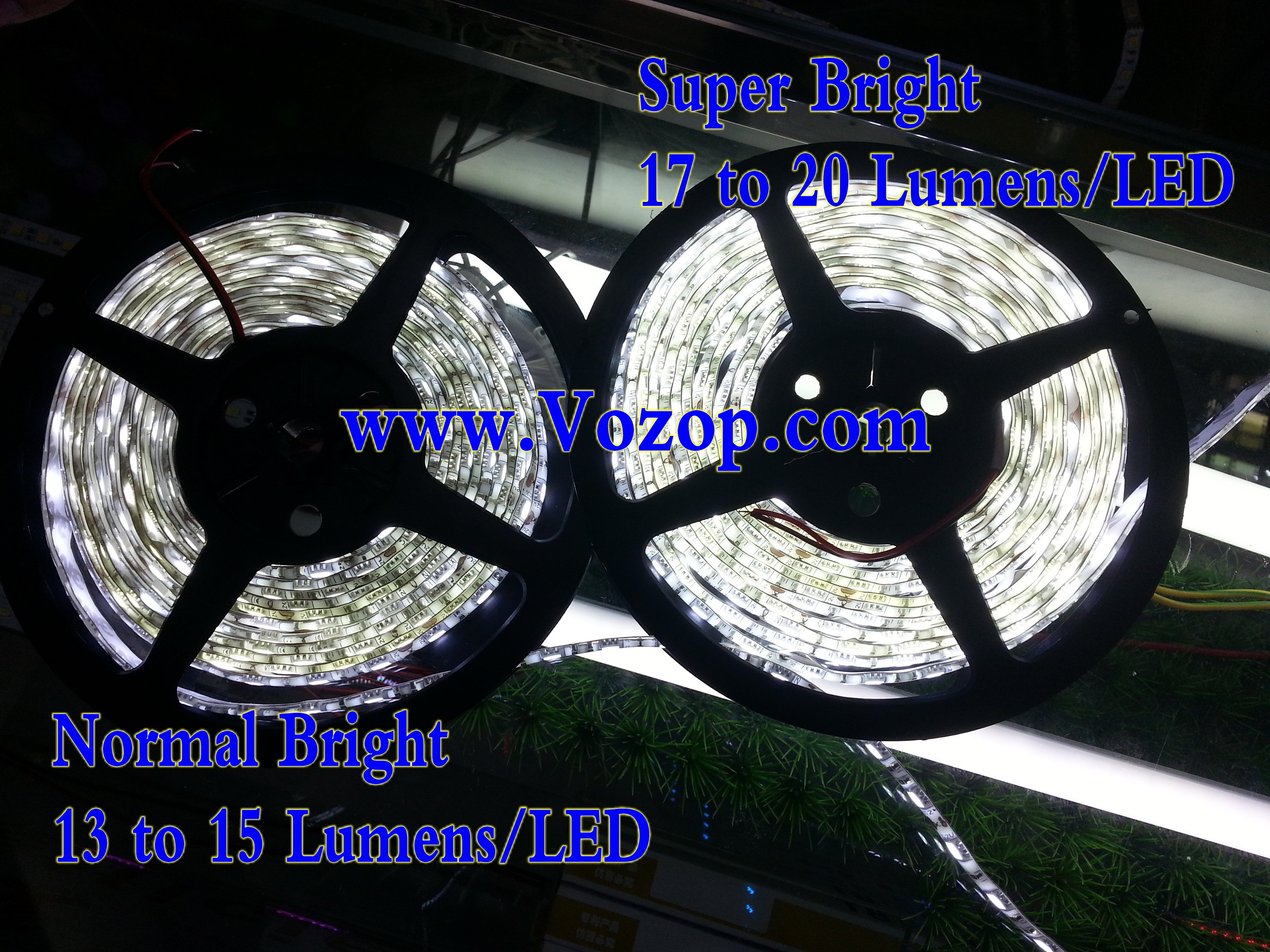 Ultra_Bright_SMD5050_5M_300_LEDs_Pure_White_12v_LED_strip_Lights_Waterproof