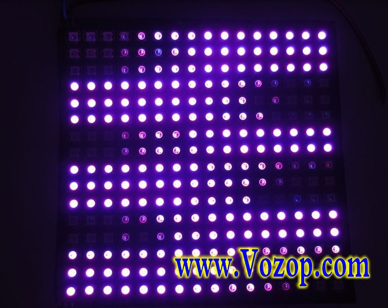 WS2812B_Addressable_LED_Panel_256_Pixels_Lights_factory_sale