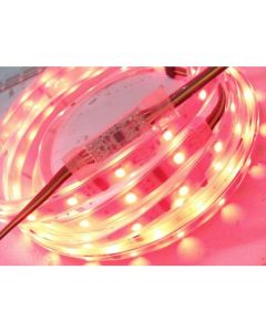 DMX Addressable RGB LED Lighting Strip 5M 150LEDs 12V Pixel Light