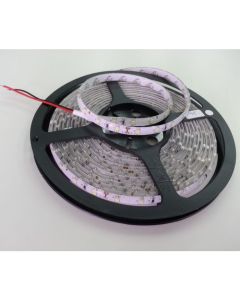 3528 LED Strip 24V 60LED/M SMD3528 LED Lighting Stripe